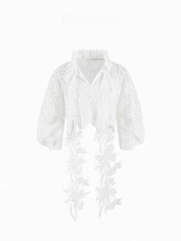 

Ele Sle Lace Embroidery Top Small Fraance Sle Premium Feel Korean Loose Fit Long Sve V-Ne irt