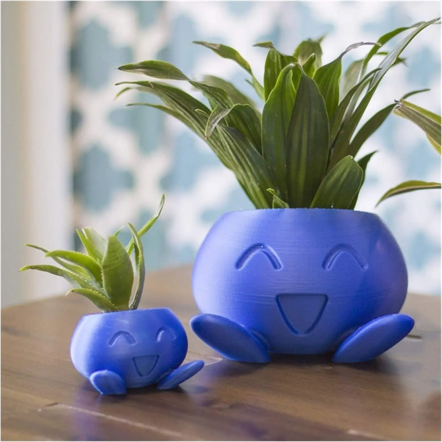 Oddish sadzarka Oddish doniczka soczysty kwiat roลlina doniczkowa doniczka