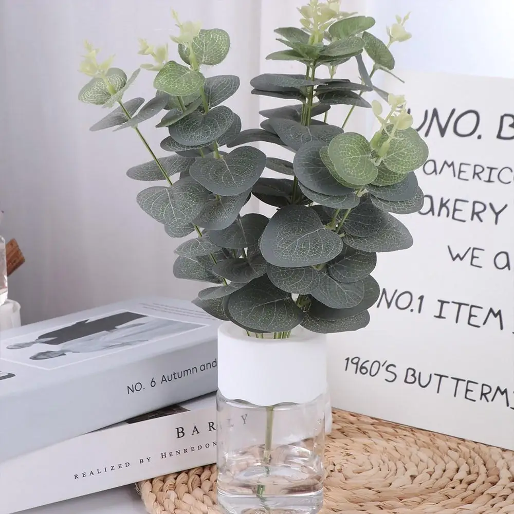 

Plastic Hydroponic Plant Pots Transparent White Hydroponic Flower Pot Stylish Circular Water Planting Vase Garden