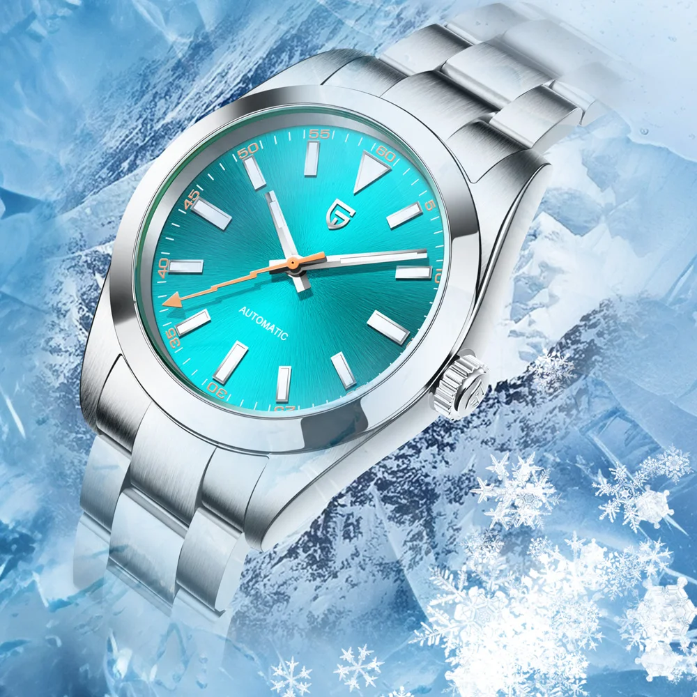 

PAGANI DESIGN 2025 Новые роскошные мужские часы для дайвинга, механические автоматические деловые мужские часы с сапфировым стеклом, водонепроницаемые наручные часы 100 м