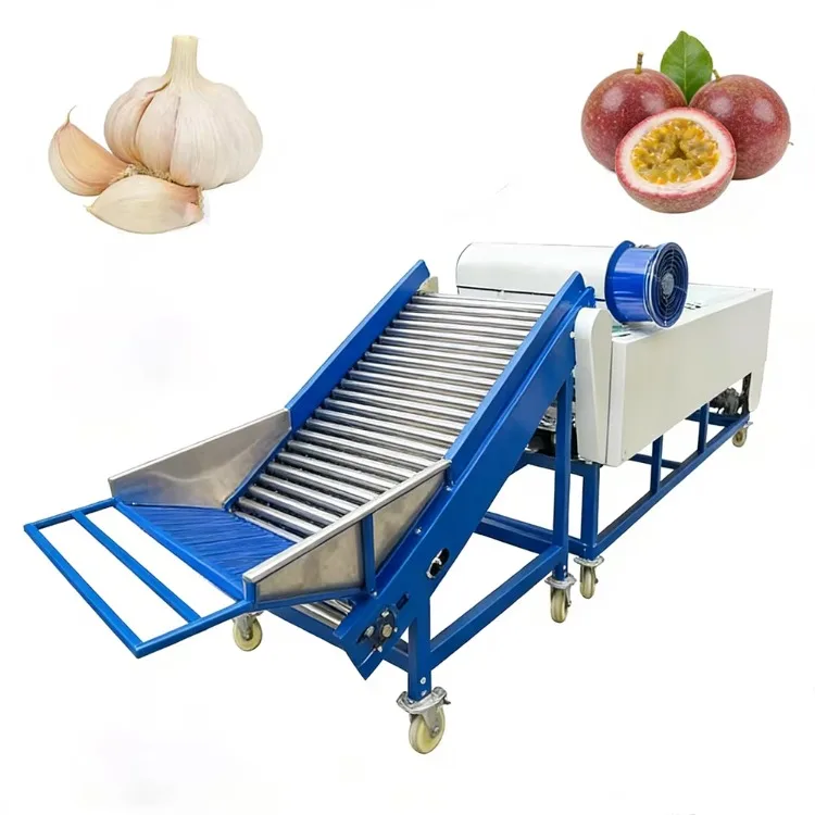 High Efficiency Fruit Processing Plant Fruit Onion Sweet Potato Shrimp Tomato Pineapple Oyster Mushroom Mini Grading Sorting