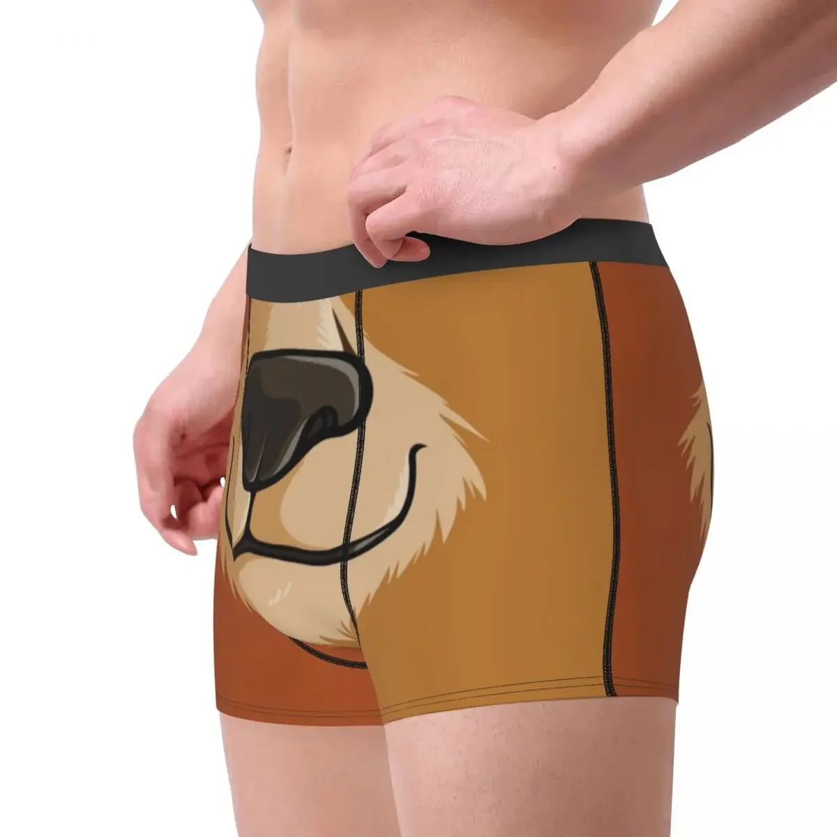 Likes To Woof Gay Pride Boxer Shorts For Homme 3D Printed Sexy Bear Underwear Panties Briefs Soft Underpants