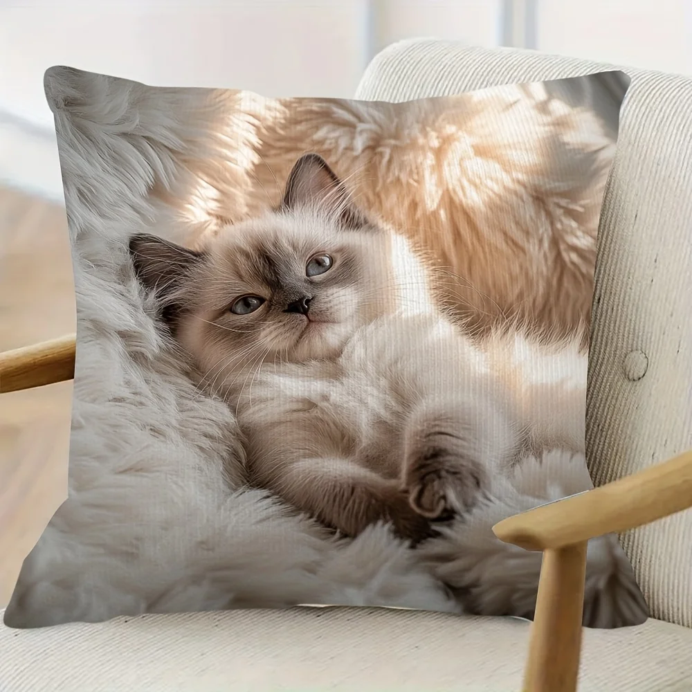 Fluffy Ragdoll Cat Pillow Case, Soft Feline Print Cushion Cover, Cozy Pet Lover Home Decor for Sofa Bedroom Living Room