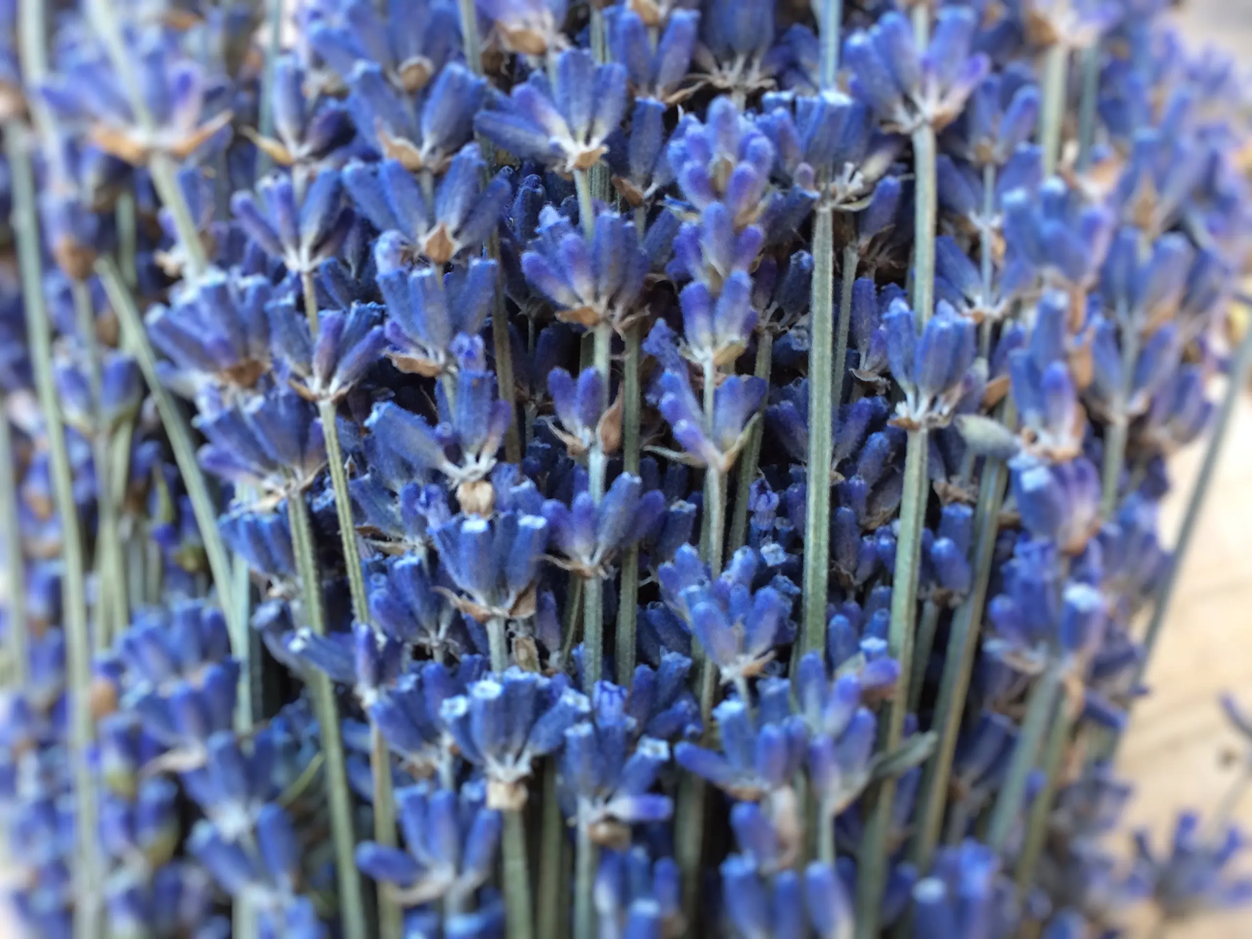 Dried Lavender Bunch, Preserved Lavender Flowers Bundle,Natural Lavender Bouquet for Crafts,Home,Wedding French Country Decor