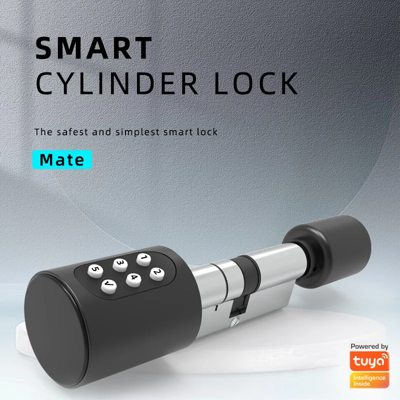 Imagem -02 - Senha Digital Eletrônico Door Lock Cartão Rfid Faça Você Mesmo Cylinder Lock Biometric Lock Substituição Keyless para Home Hotel Euro Tuya App