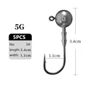 5g
