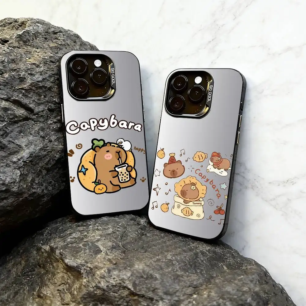 

Illustration Capybara Phone Case For iPhone 17,16,15,14,13,12,11 Plus,Pro Max,XS,Colorful Silver Phone case Funda Cover