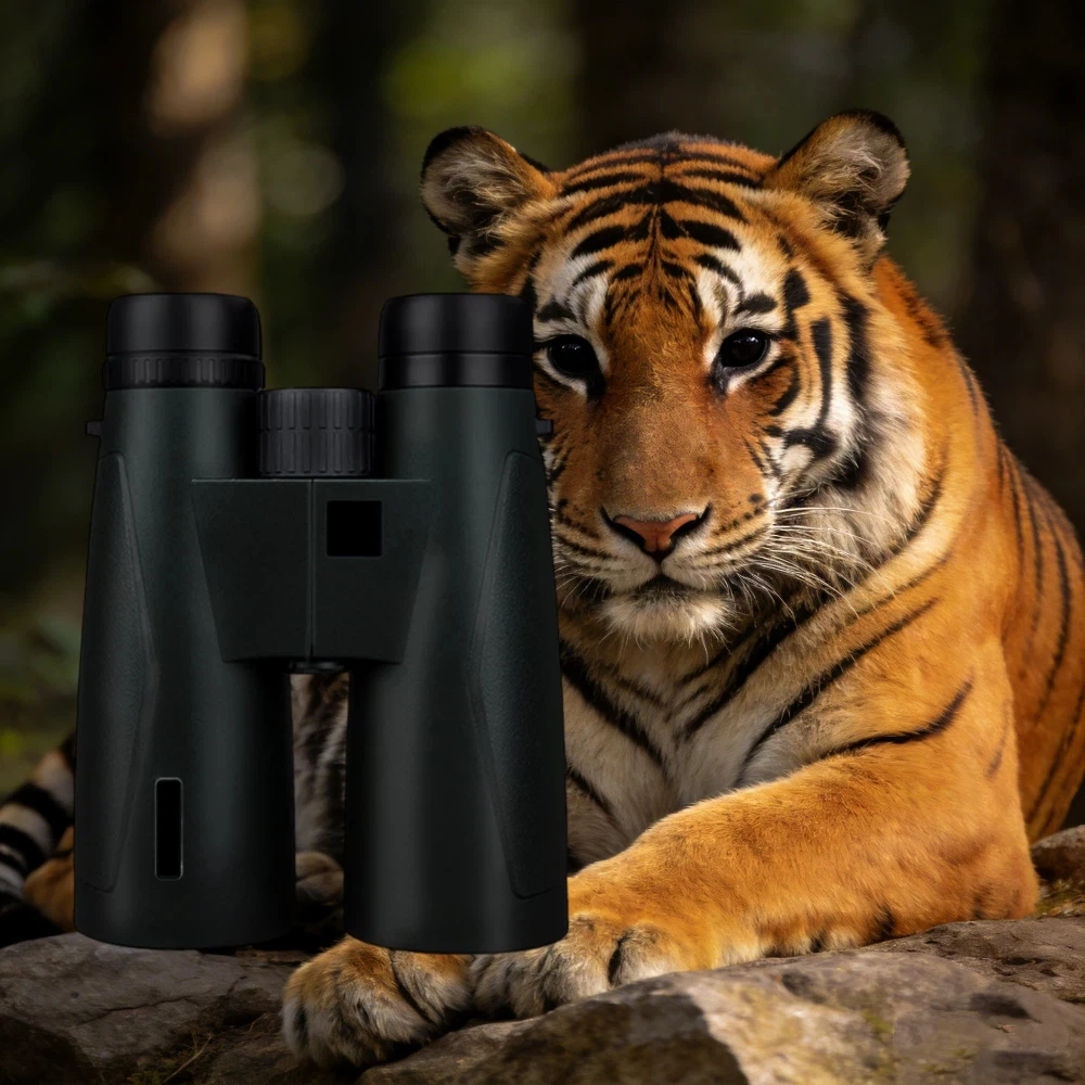 

The Insect Kingdom Scout: 10x50 Large Aperture Binoculars. With a Bright Field, Spy on the Intricate Work and Social Rituals of