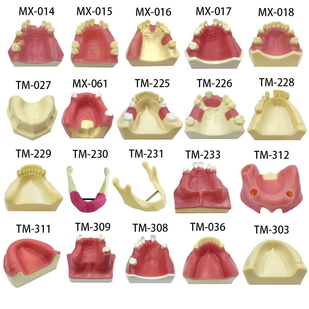 Dental Model Teeth Implant Maxillary Mandibular Sinus Practice Teeth Model Implants Restoration Silicone Model Dentist Student