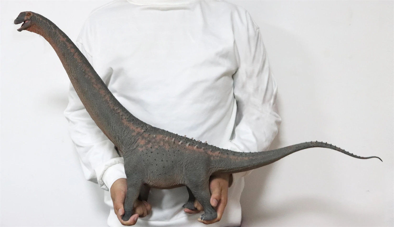HAOLONGGOOD 1:35 スケールアルジェンティノサウルスモデル恐竜動物