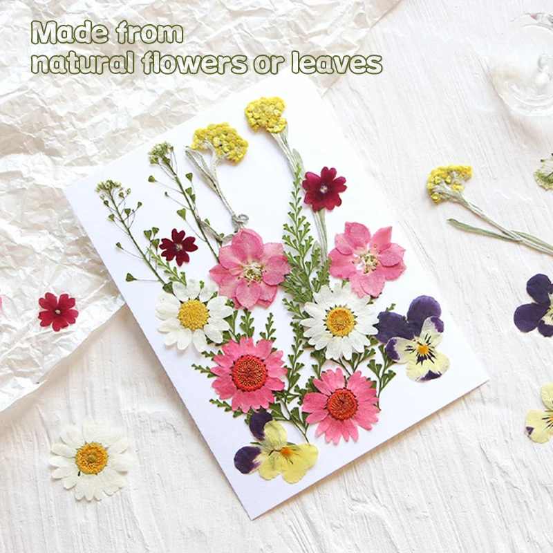 Real Pressed Dried Flower Dry Plant Stickers for DIY Phone Case Epoxy Resin Filling Pendant Jewelry Making Craft DIY Accessories