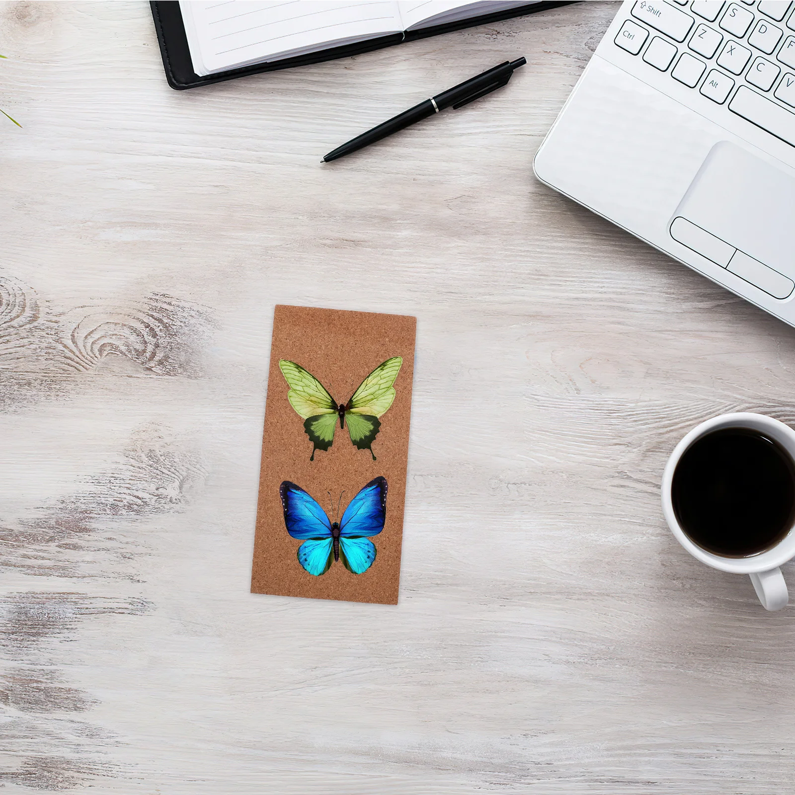 عرض العينة أداة التثبيت متعددة الوظائف الفلين سطح تحديد المواقع المجلس لأجنحة الفراشة نشر تصاعد علم الحشرات