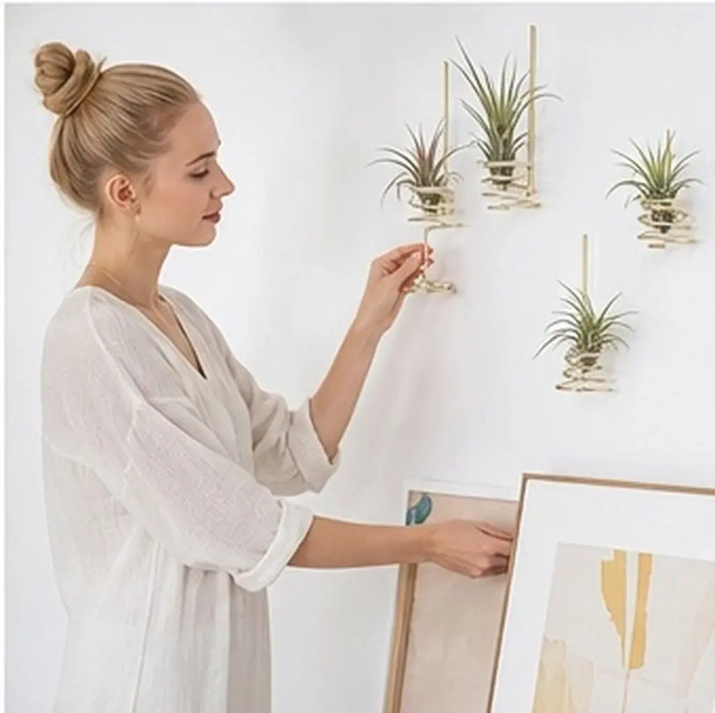 6Pcs Metal Air Plant Holder Electroplated Geometric Spring Base Desktop Wall Tillandsia Plant Display Rack Desktop Flower Stand