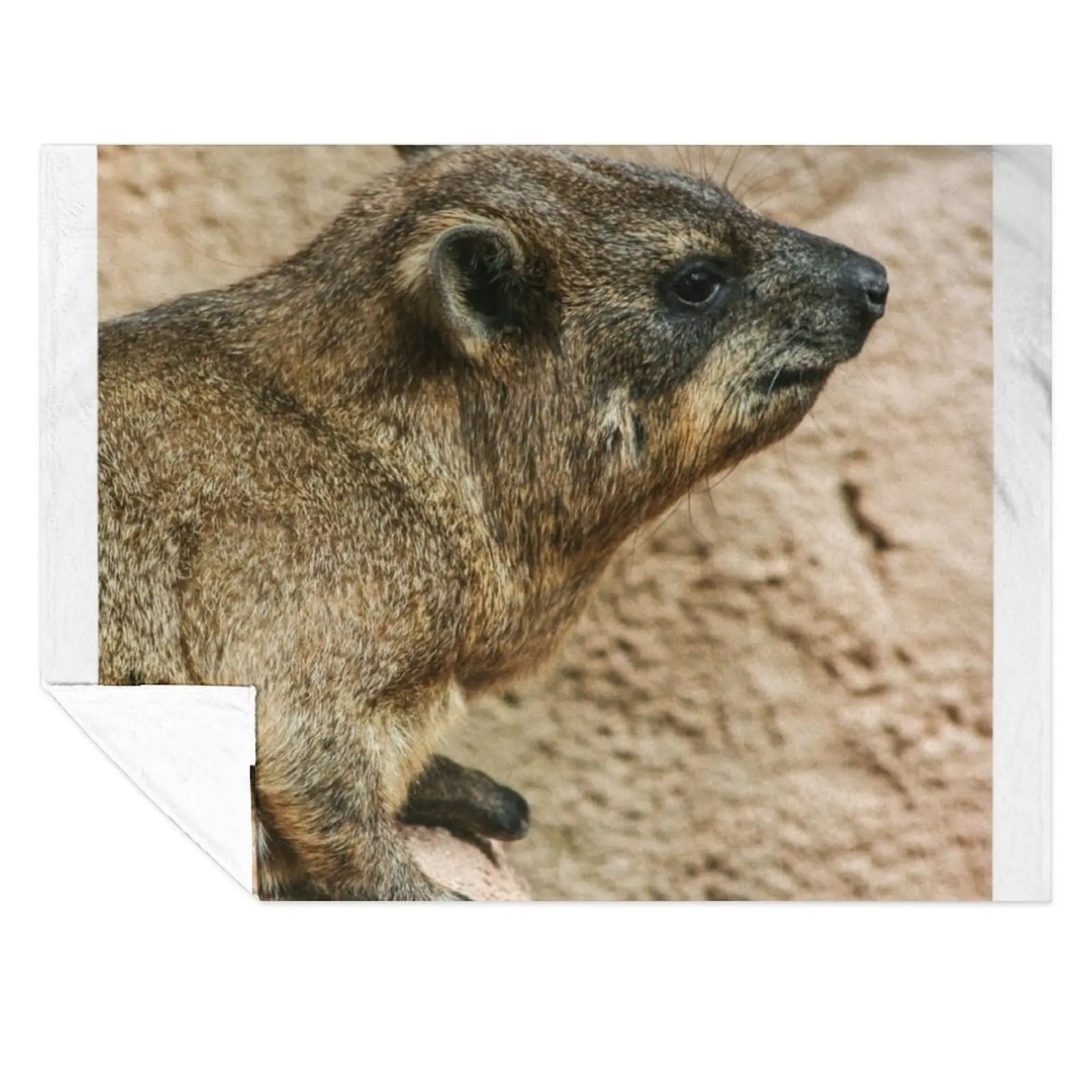 

Rock hyrax Throw Blanket halloween anime Giant Sofa Blankets