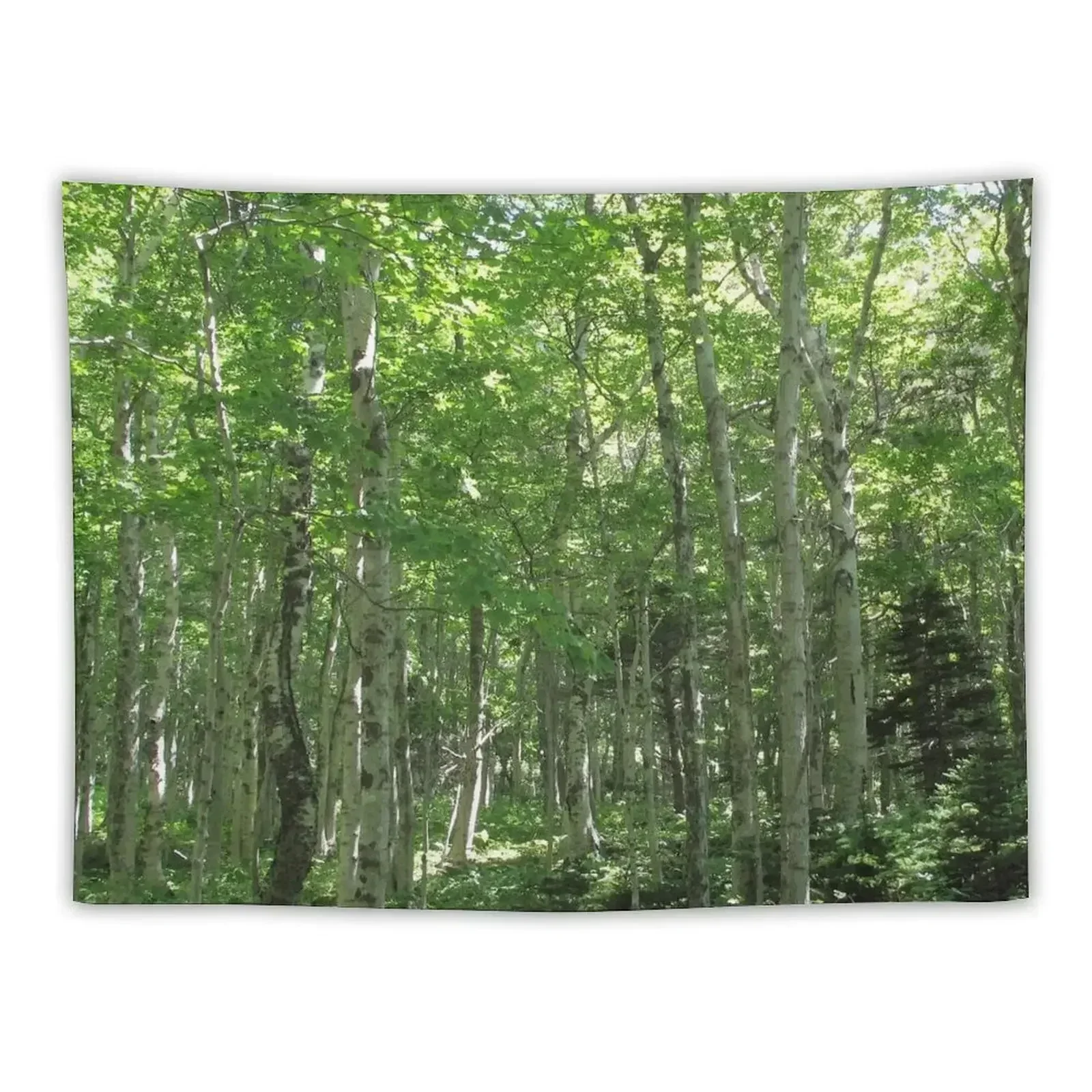 

Watercolor Landscape, Cape Breton 09, Nova Scotia, Canada Tapestry Bed Room Decoration Tapestry
