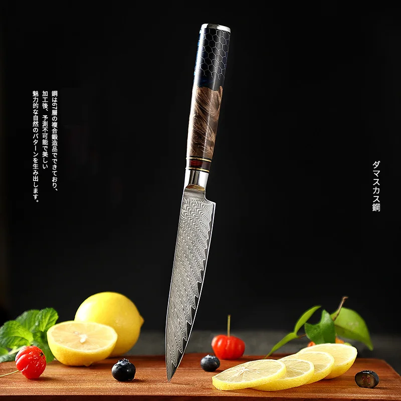 5 Inch Utility Knife 67-Layers Damascus Steel Blade Sharp Cleaver Steak Paring Peeling BBQ Kitchen Knives Resin & Wood Handle