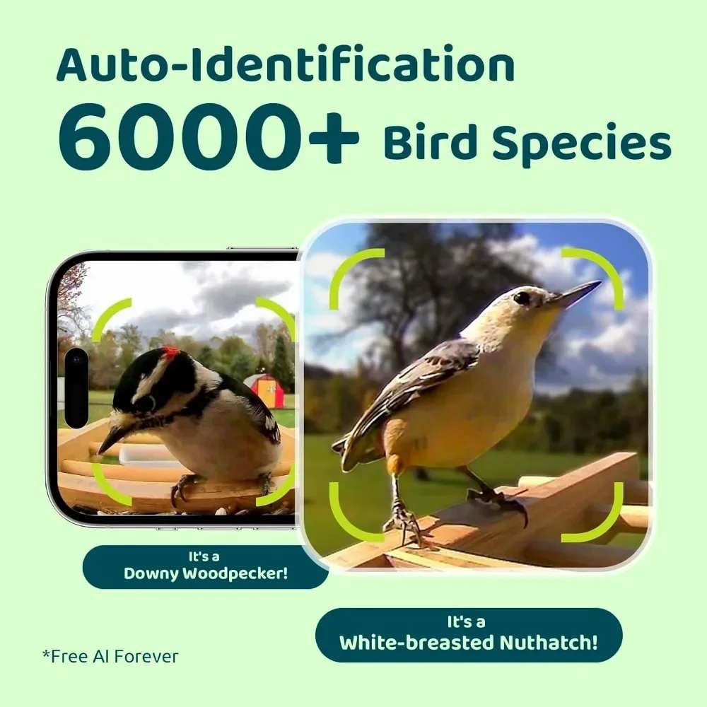 AI Smart Bird Feeder with Camera Solar Powered, Permanent AI Identify 6000+ Bird Species & Motion Detection, Bird Feeder Camera