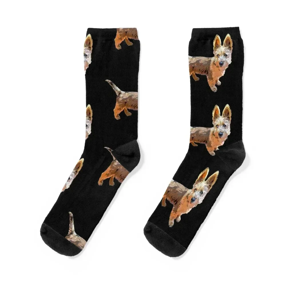 

Носки с изображением щенка австралийского терьера, снежные детские роскошные велосипедные носки для девочек и мужчин