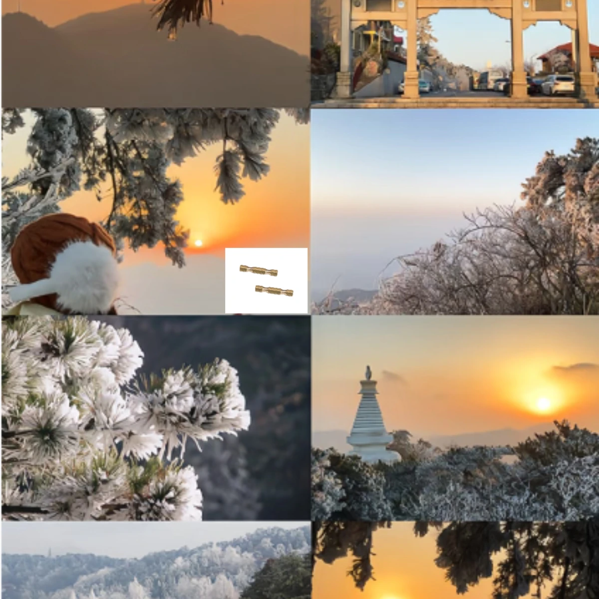 Gpm Losi 1/18 Mini …