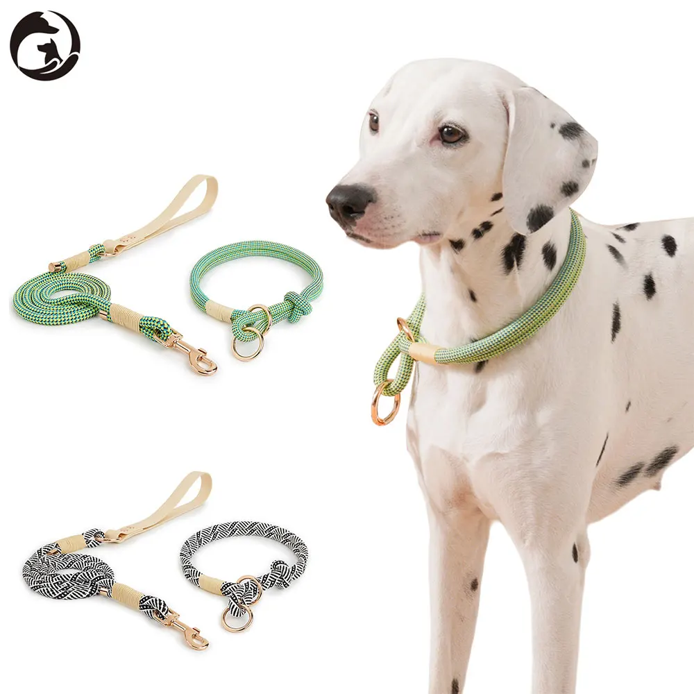 

Slip Nylon Collar And Leashes Sets Pet Neck Ring Adjustable Rope For Small Medium Large Easy Handle Outdoor Walking Dogs 4 Sizes