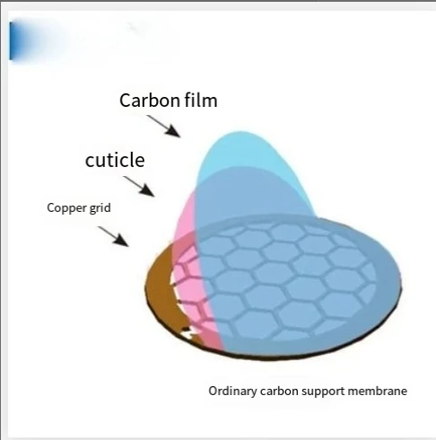 50 to 400 Mesh Domestic Copper Mesh Common Carbon Film, Transmission Electron Microscope Support Film