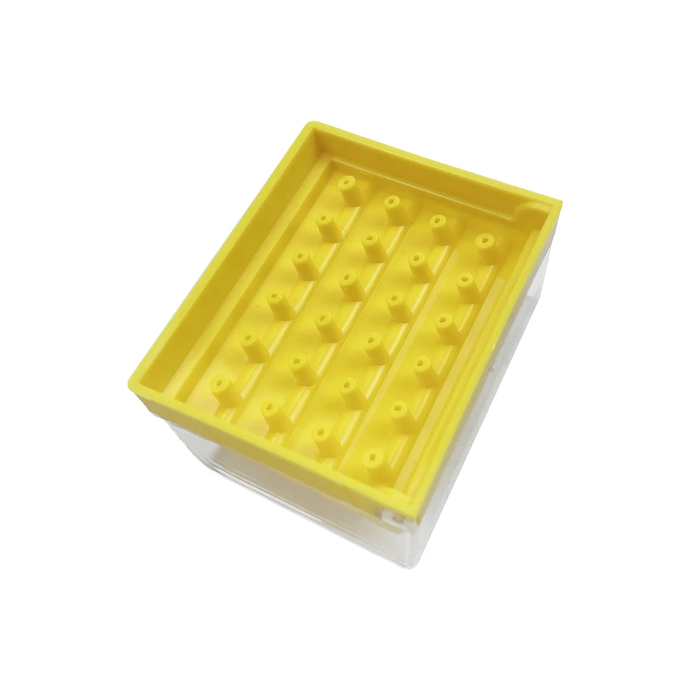 24 fori supporto per fresa dentale in plastica disinfezione frese in metallo duro blocco trapani caso scatola fresa dentale porta file Endo scatola di disinfezione