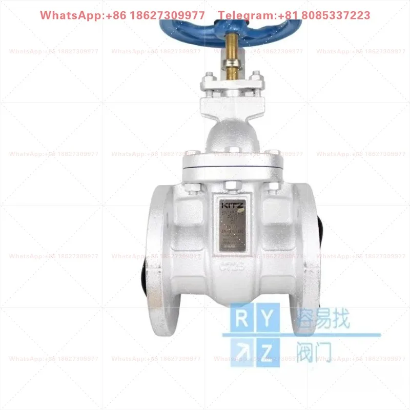Flange gate valve EN16FCWEI cast iron concealed rod DN50 switch valve imported from Japan