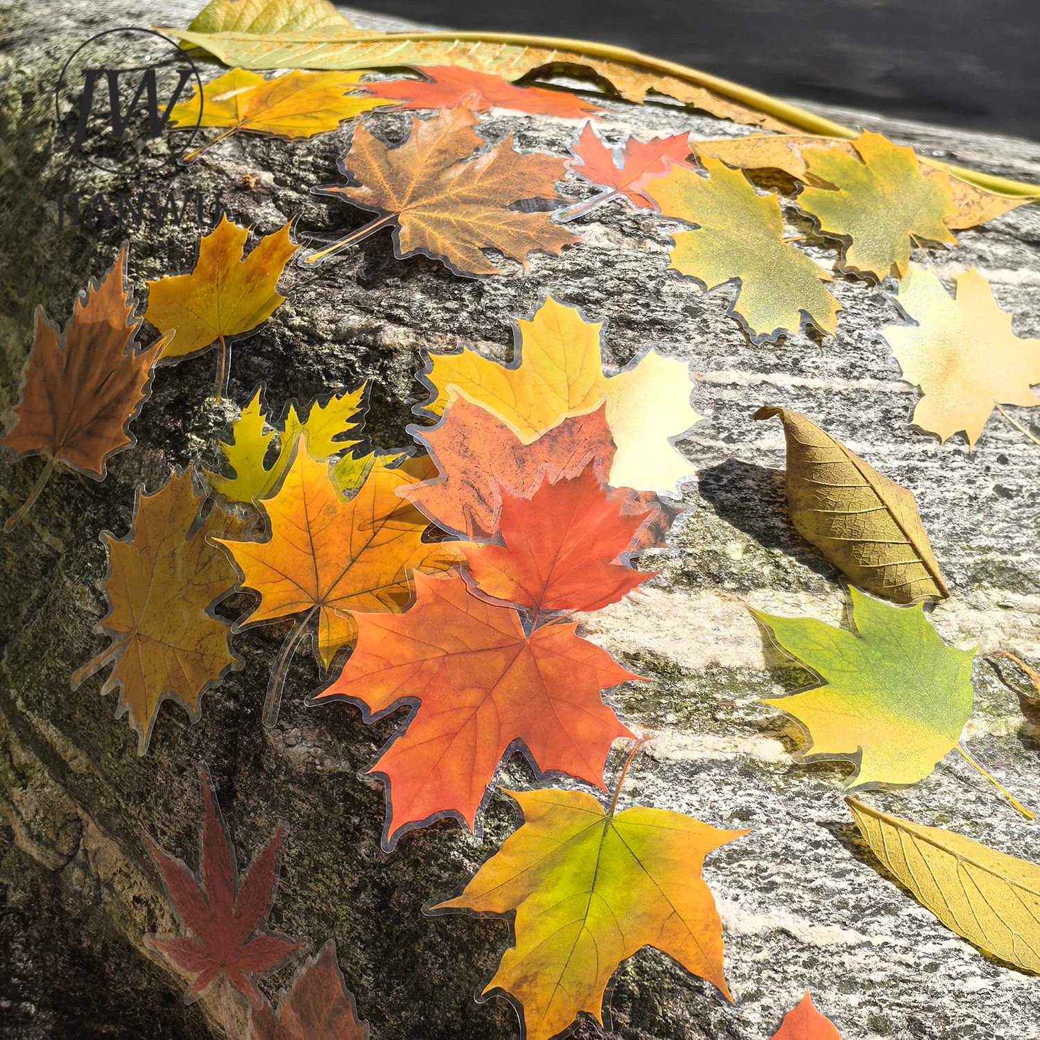 Jianwu Maple Leaf S… - image