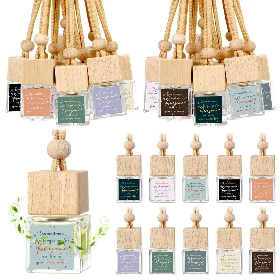 

Pcs Christmas Appreciation Gift Bulk for Staff Inspirational Empty Hanging Car Air Freshener Diffuser, Sometimes You Forget Your