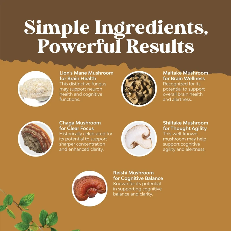 60 capsules of lion mane, 5-fold fruit mushroom complex, white birch mushroom, shiitake mushroom, and ganoderma lucidum