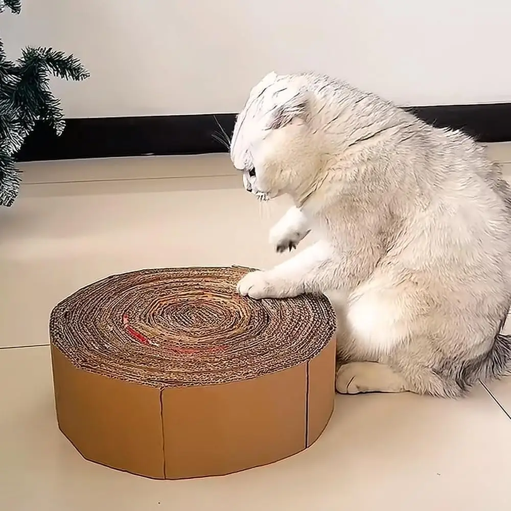 آلة قطع الورق المقوى خدش القط محلية الصنع قاطع الورق المقوى ثلاثية الأبعاد الطباعة قطاع متجرد البلاستيك الحرف اليدوية لتقوم بها بنفسك أدوات المنزل