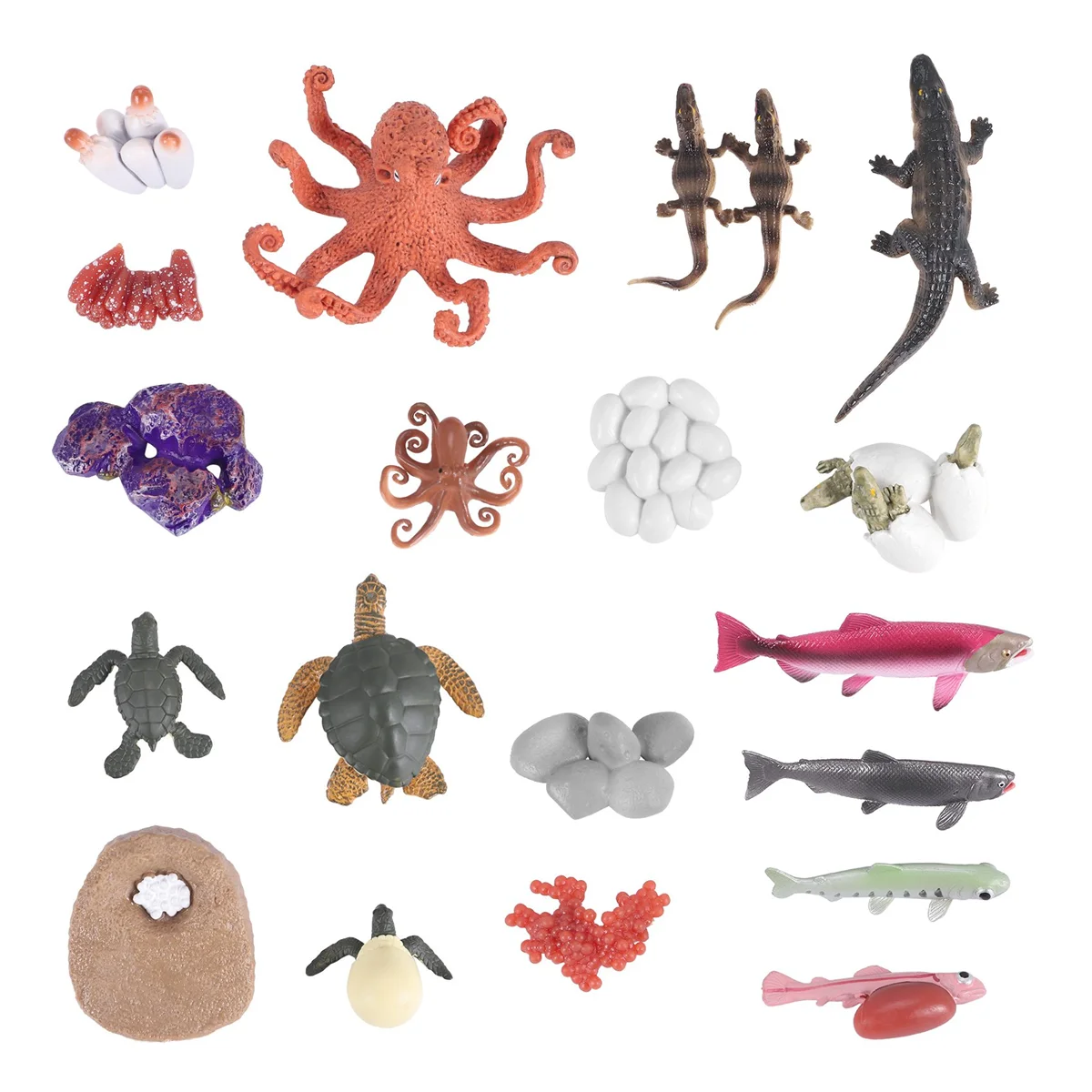 17PCS Animal Life Cycle Figurines Of Green Sea Turtle Crocodile Octopus Salmon Fish, Simulation Animals Growth Model