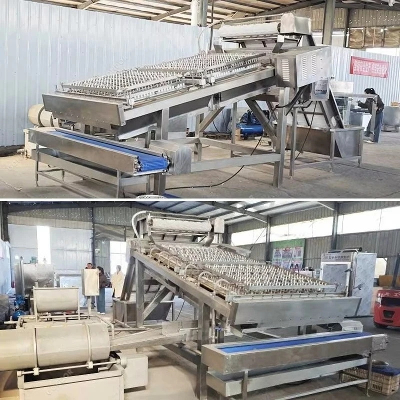 Electric Automatic Prawn Peeler Custom Shrimp Deheading Shelling Deveining Cleaning Processing Machine