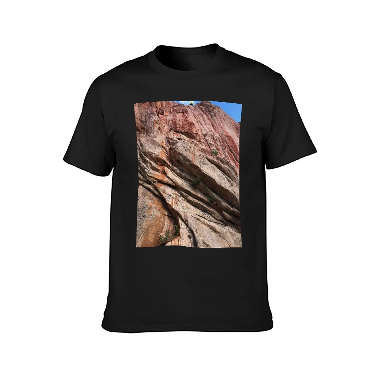 Garden of the Gods Wall T-Shirt for a boy cute clothes plain black t shirts men