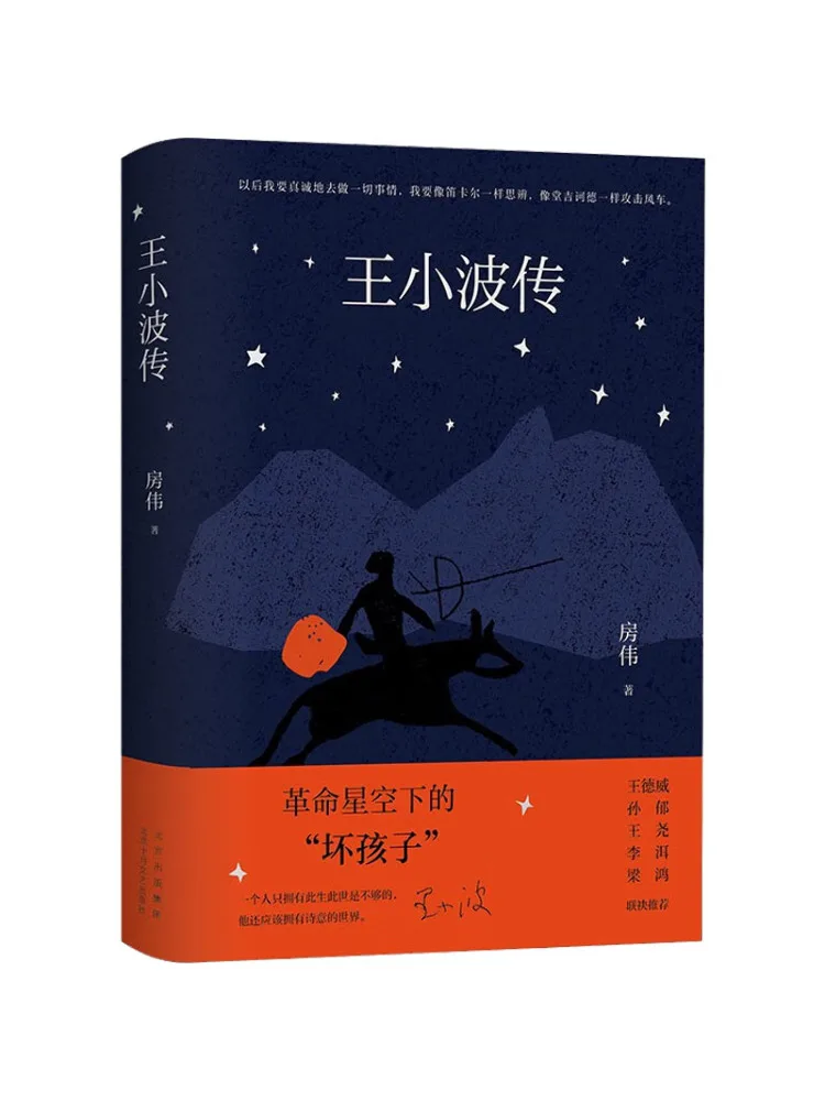 Book-Winshare La biographie de Wang Xiaobo