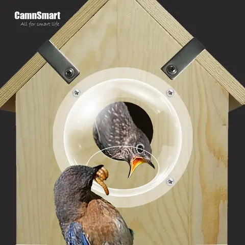 8 best sales पक्षी कैमरा - №2