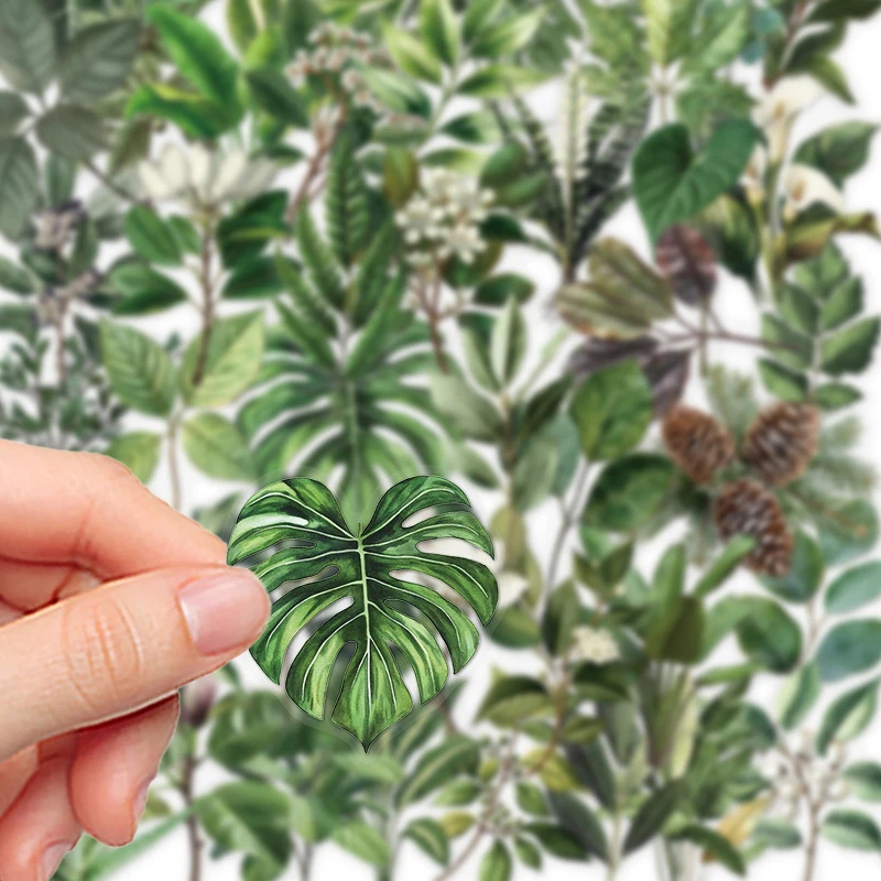 50 قطعة من ملصقات أوراق النباتات الخضراء DIY حقيبة دفتر الدراجة زجاجة ماء قضية الهاتف المحمول شفافة جرافيتي يترك الشارات