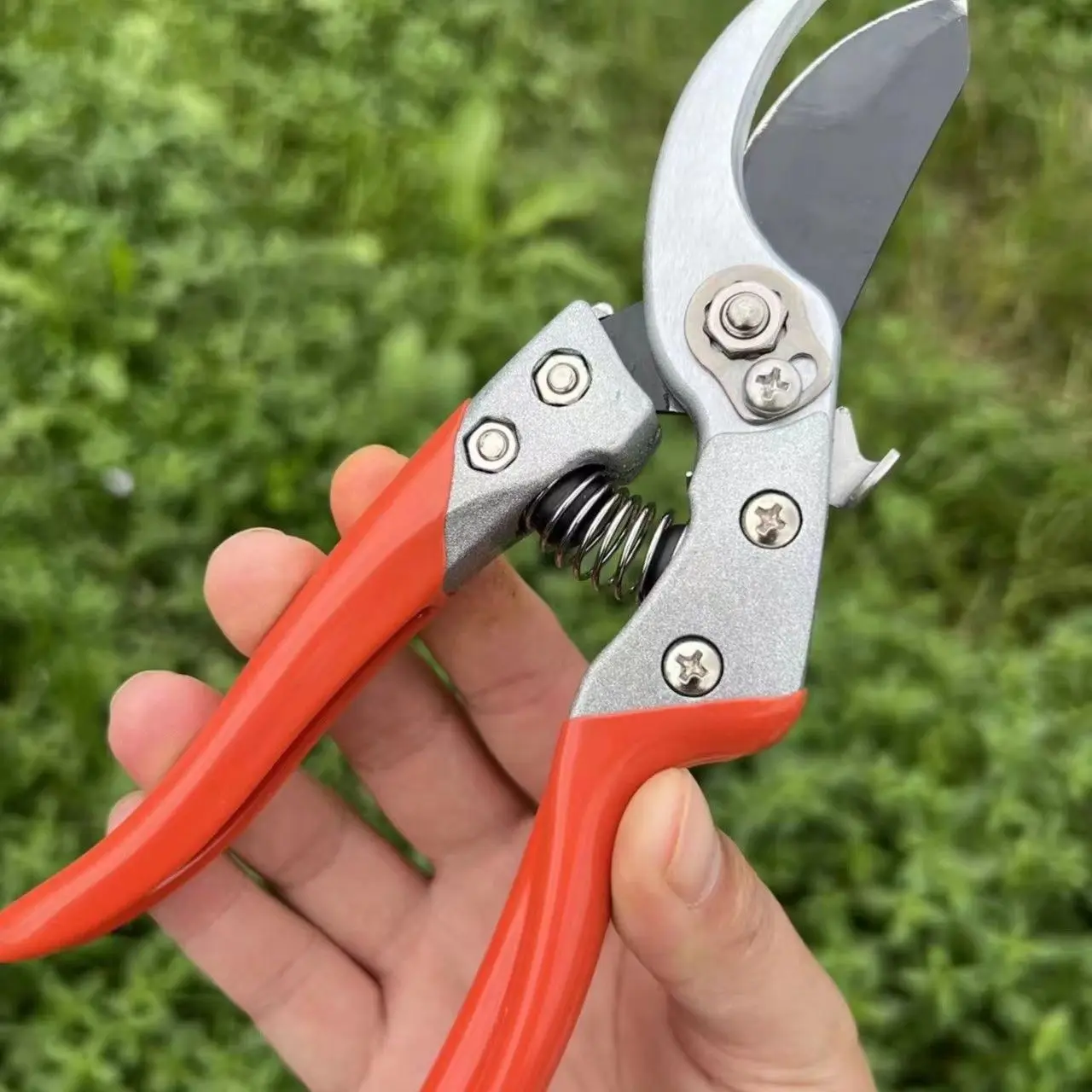 

Garden fruit tree pruning shears, strong pruning flowers, coarse branches, and fruit picking shears