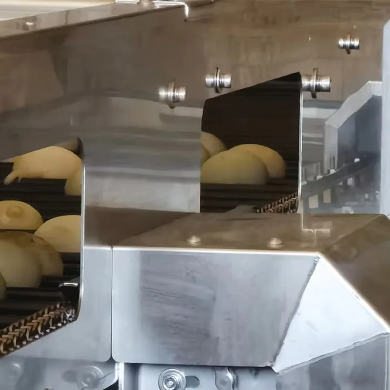 Custom Automatic Egg Weight Grader Commercial 5 Level Sorting Machine Galvanized Wire Body Best Selling Poultry Equipment