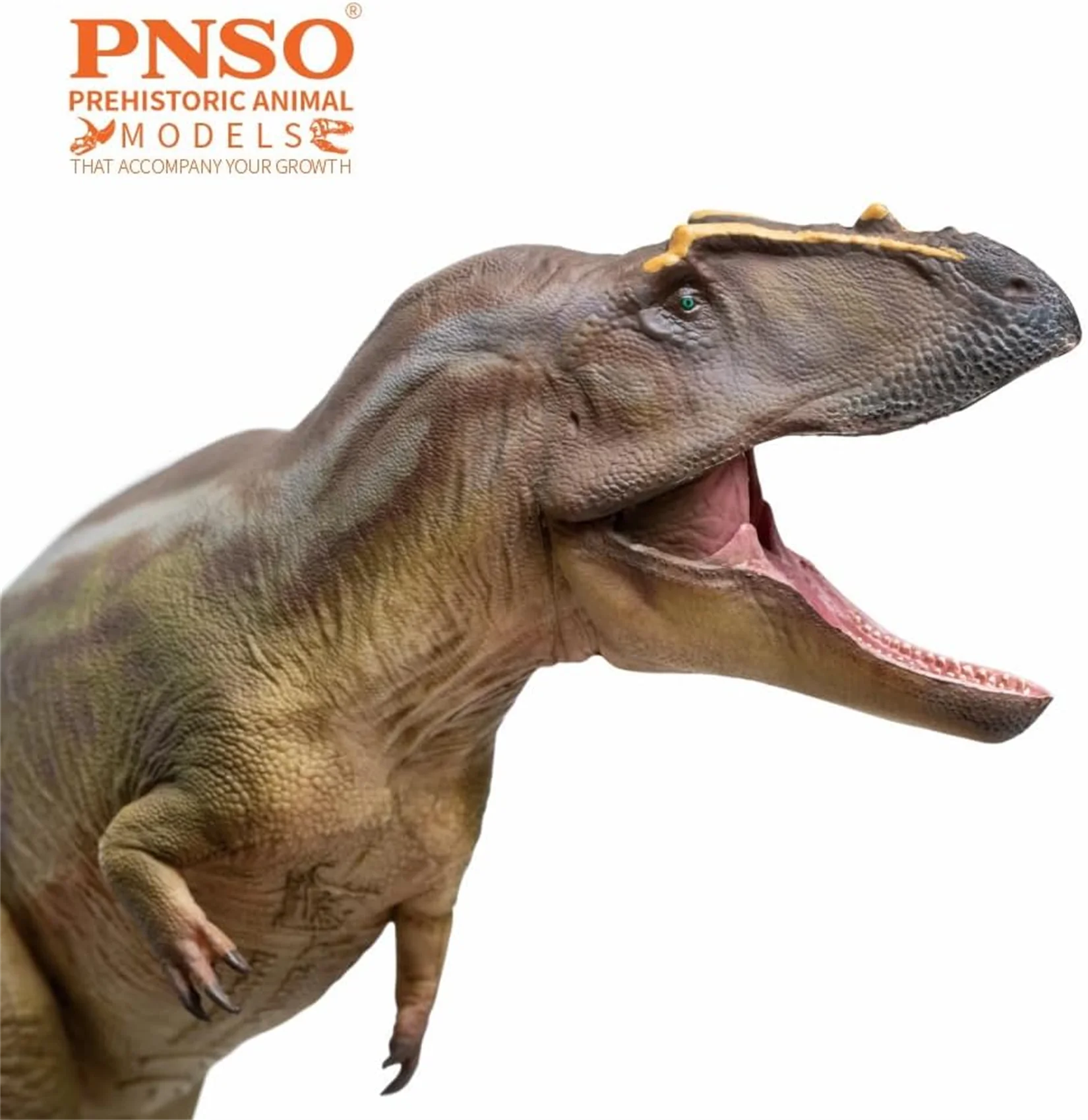 PNSO Tameryraptor 95 modelo adulto Animal prehistórico dinosaurio coleccionista figura arte científico decoración niños juguetes educativos regalo