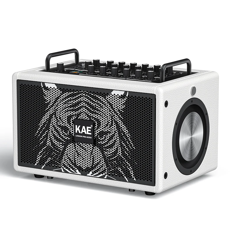 

Professional High Power Portable Coaxial Speaker 220W Dual OTG Active Stage Speaker With Over Load Protection