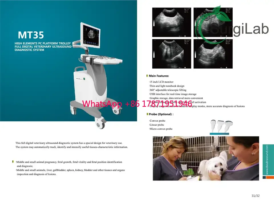 HOT 15 inch LED color display full digital Ultrasound trolley Scanner black and white trolley ultrasound machine