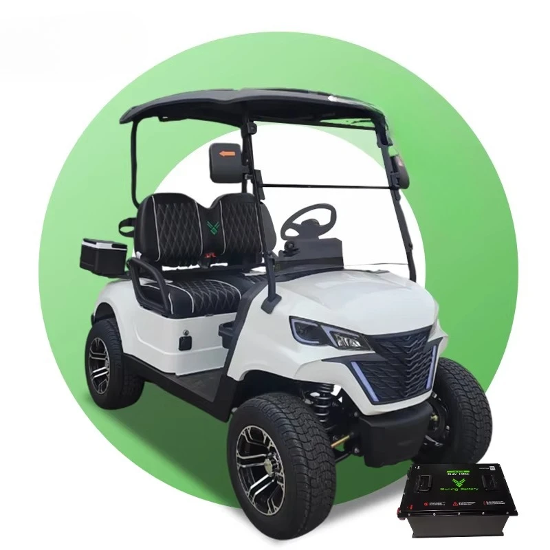 2 Seat Golf Cart 48 Volt Lead Acid Electric Street Legal Golf Cart 72v 150ah