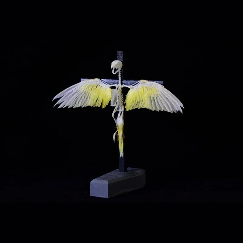 2026 Avian Cruciform Skeletal Model Art Gothic Reliquary Display Bone Configuration Ornithology for Halloween Party Supplies