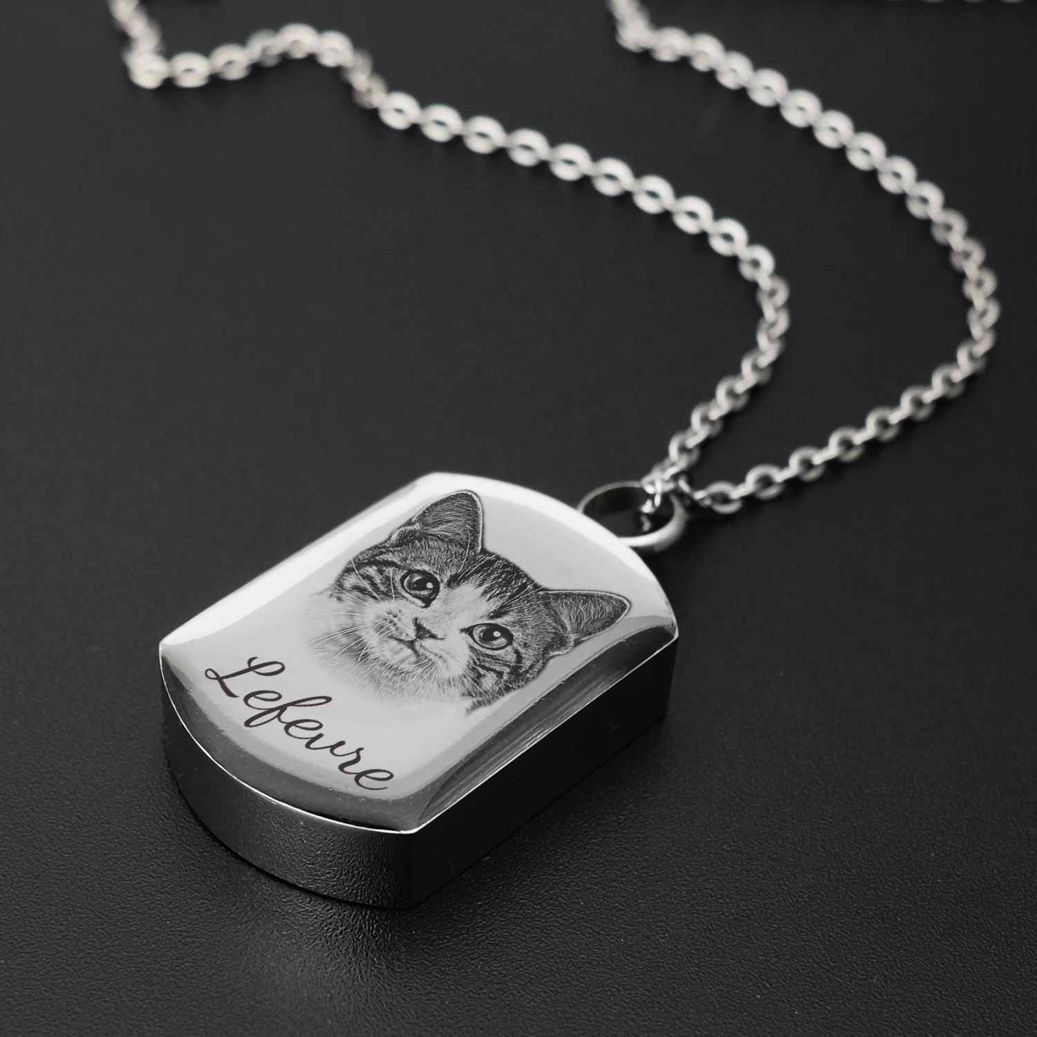 Pet Memorial Urn Pendant, Cremação Jóias, Retrato personalizado, Cinzas para cão, Colar Memorial Cat