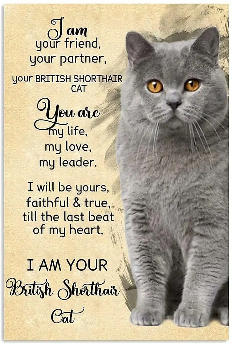 Maine Coon Cat Metal Tin Signs I Am Your Friend Your Partner Metal Poster Home Art Wall Decor Plaque Farm Bathroom Bedroom