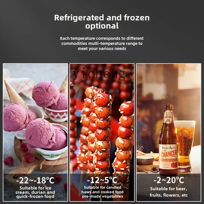 ZZ Display Cabinet Commercial Frozen Refrigerator Ice Cream Low Temperature Cabinet Air Cooled Vertical