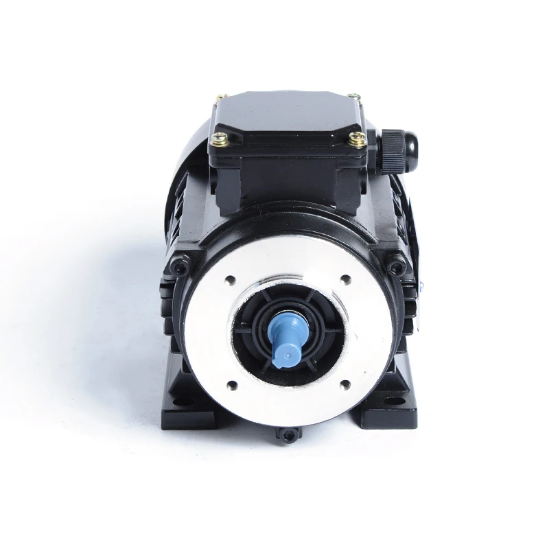 32kw 37kw Three-Phase AC Induction Motor Variable Speed Asynchronous Electric Motor with Enclosed Protection 50HZ Frequency