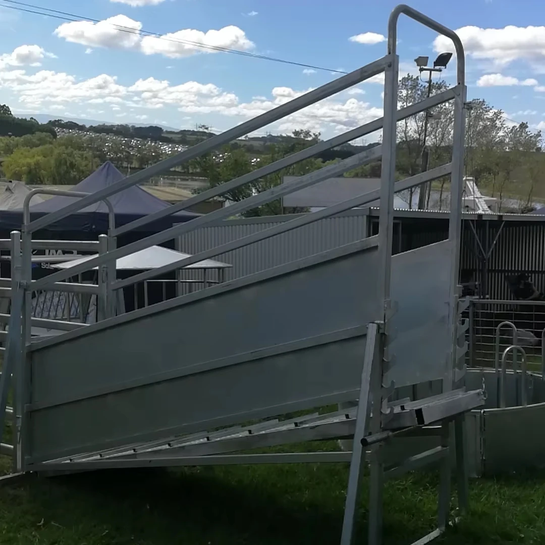 

High Quality Livestock Cattle Yard 3m 3.6m 5m Adjustable Cattle Loading Ramp