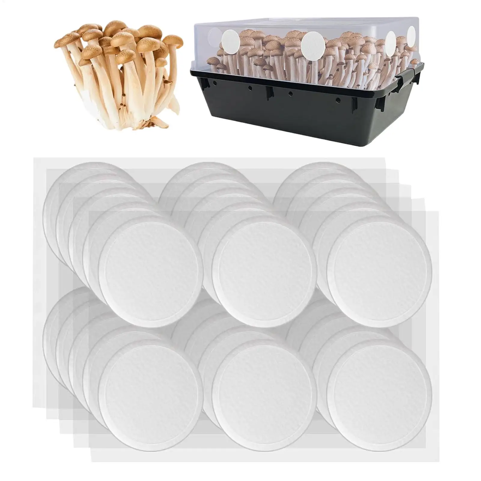30 tampons filtrants pour champignons, patchs filtrants pour champignons, outils de culture de légumes pour la préservation de l'humidité, fournitures pour la culture de champignons
